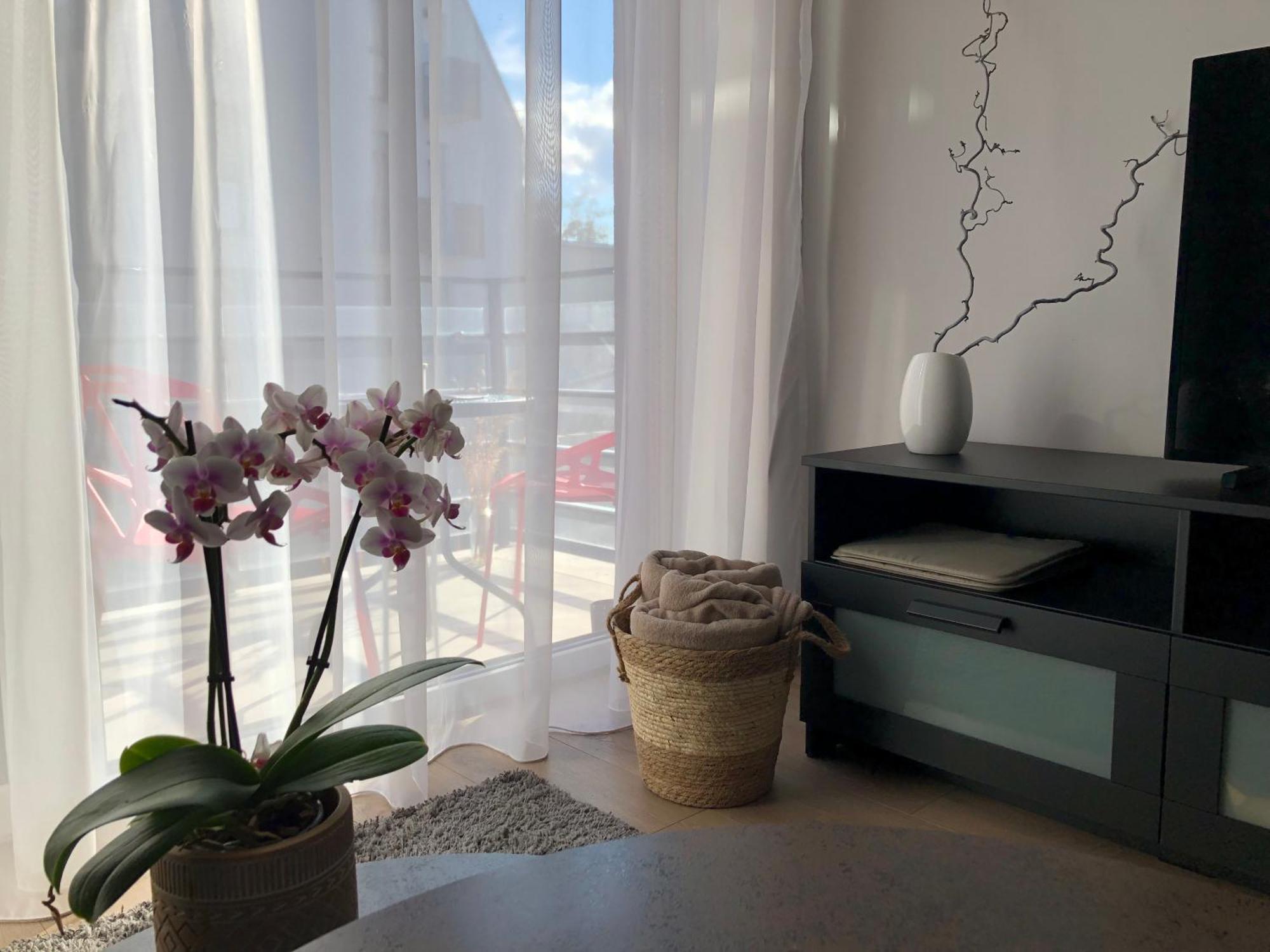 Cosy 1 Bedroom Apartment In The Heart Of Old Town With Parking 카우나스 외부 사진